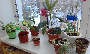 Изображение Изображение