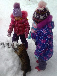 �����������